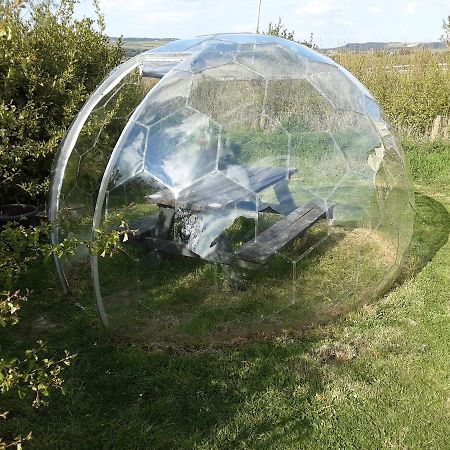 The Rainbow Pod Villa Milltown Malbay Dış mekan fotoğraf